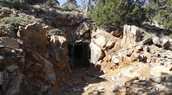 Adventure Log: Dungeons and Dragons, Part 6