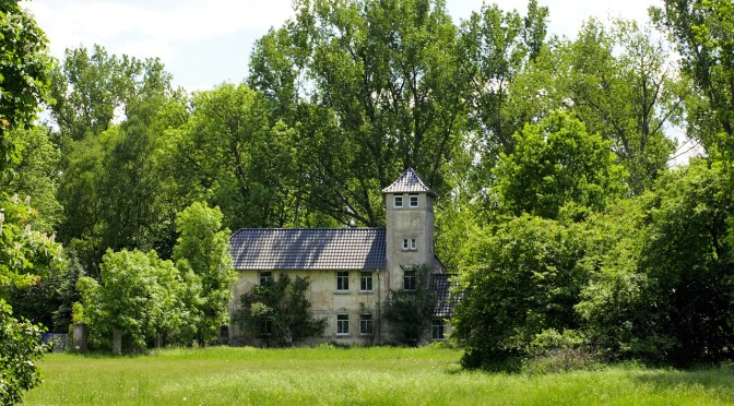 Adventure Log: Dungeons and Dragons, Part 9