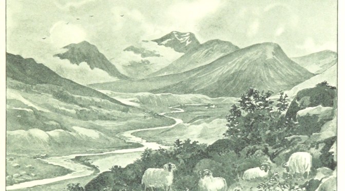 Solitaire Storytelling: Last Tea Shop